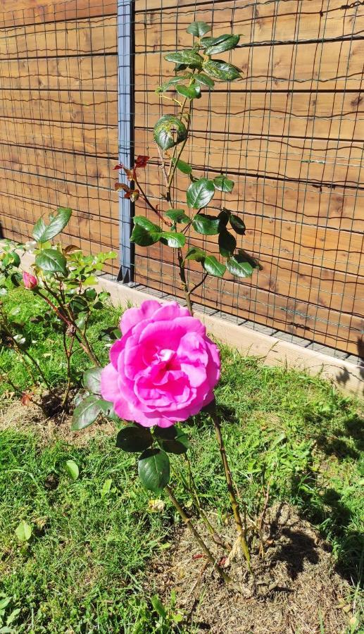 Crévin Chez Driss 아파트 외부 사진